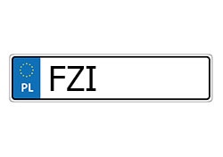 Rejestracja-FZI