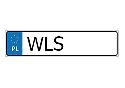 Rejestracja-WLS