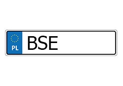 rejestracja BSE