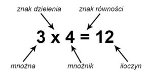 What Is the Difference Between .com, .co, .net, .org, and .us Domain Names? visual data 4