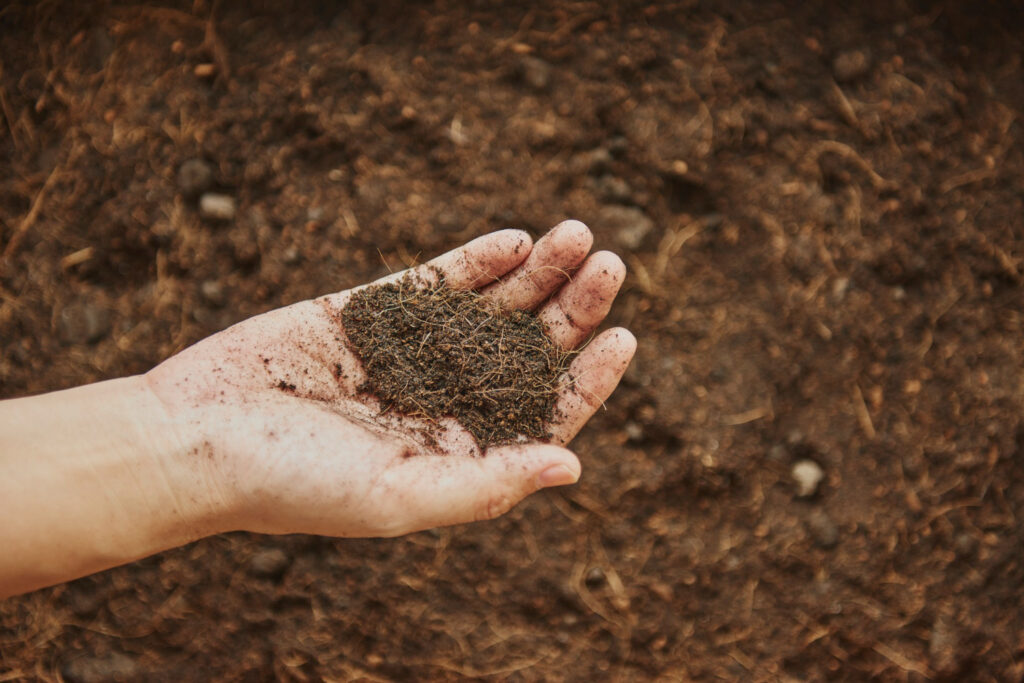 woman holding soil her hand